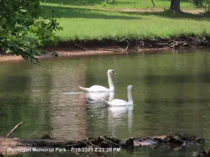 Dunnegan Memorial Park