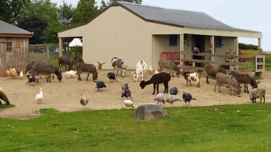 Homestead Animal Farm
