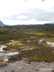 Parc National Naturel de Puracé