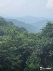 Nankun Mountain Forest Farm