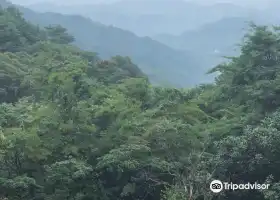 Nankun Mountain Forest Farm