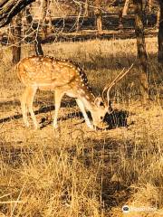 Devalia Safari Park