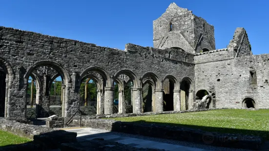 Boyle Abbey