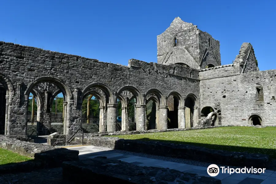 Boyle Abbey