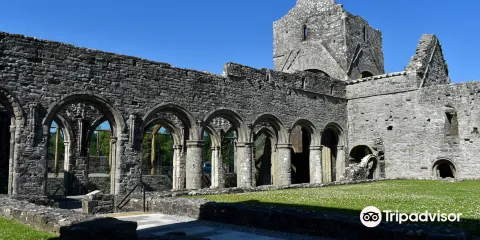 Boyle Abbey