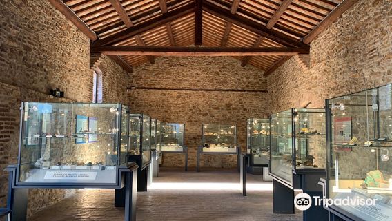 Museo Geopaleontologico di Cava Bomba
