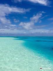 Aitutaki Adventures