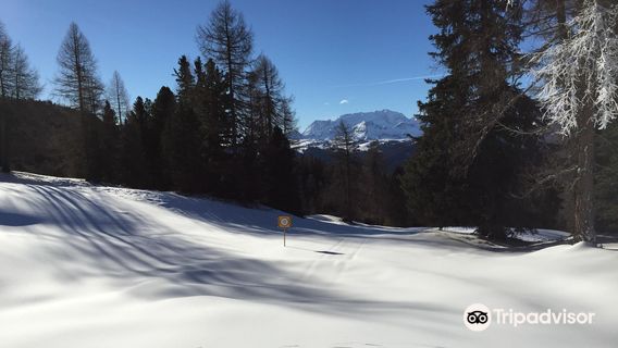 Ski School Dolomites