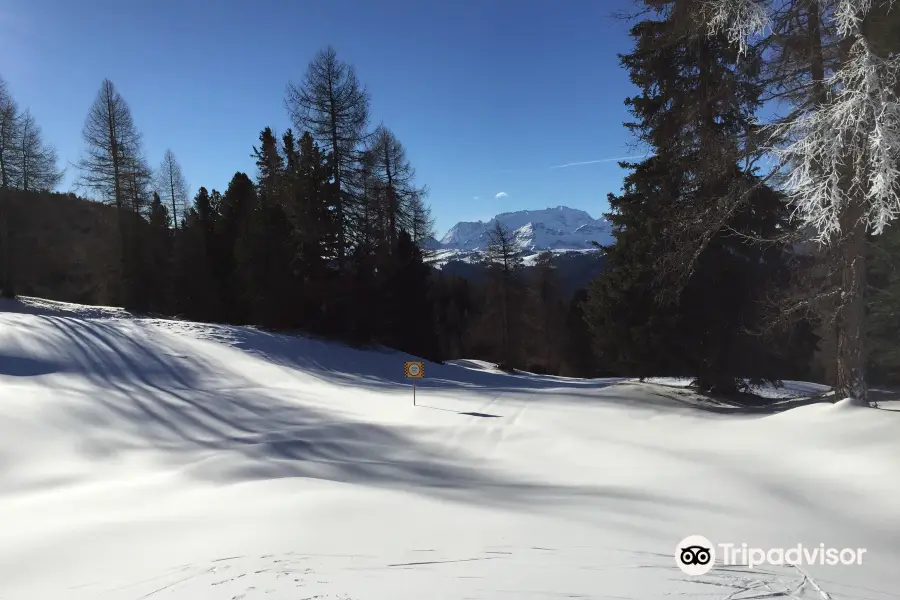 Skischule Dolomites