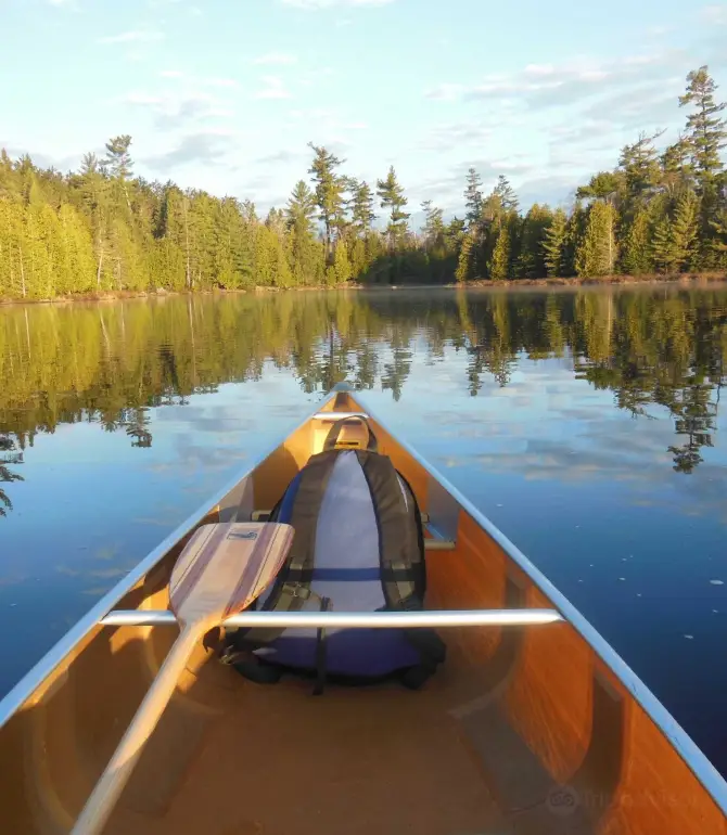 Tofte Township