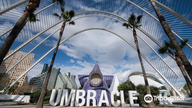 Museu de les Ciències Príncipe Felipe