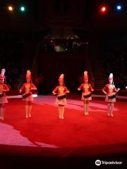 Gomel State Circus