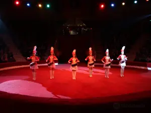 Gomel State Circus