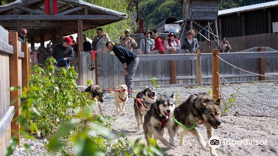 Alaska 360's Dredge Town