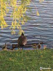 Boomer Lake Park