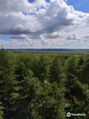 Tour d'observation du général Mangin