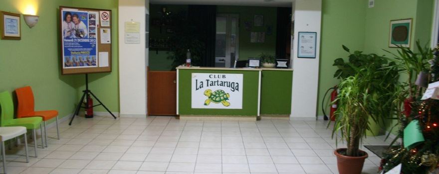 The Turtle S.c.a.r.l.