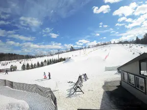 Ski Ward
