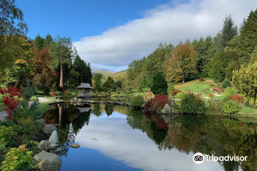 The Japanese Garden