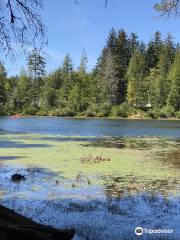 Jessie M. Honeyman Memorial State Park