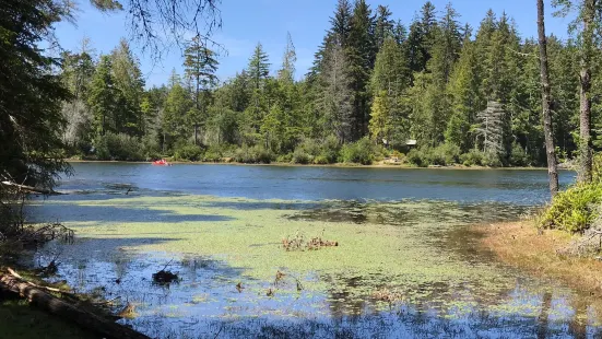 Jessie M. Honeyman Memorial State Park