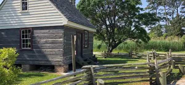 Chincoteague