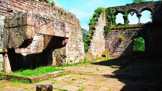 Ruine Wildenberg