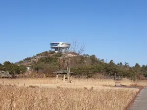 빛가람호수공원전망대