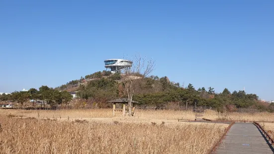 Bitgaram Lake Park Observation Deck