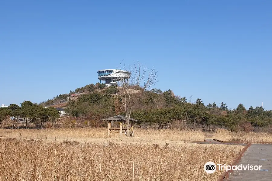 Bitgaram Lake Park Observation Deck