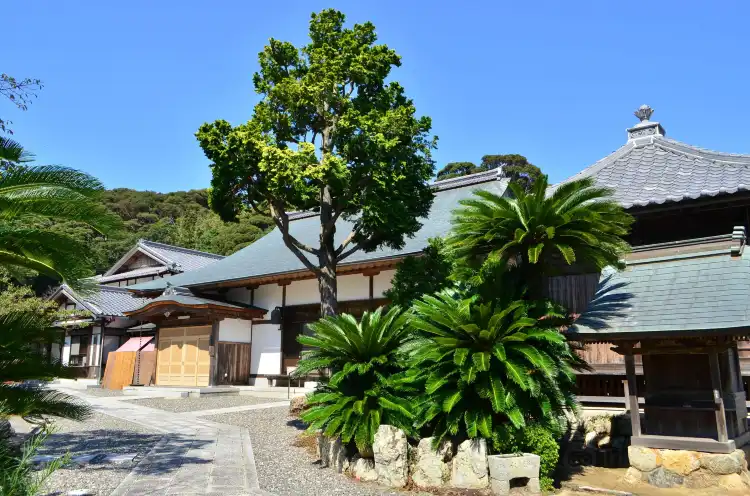 Kosai