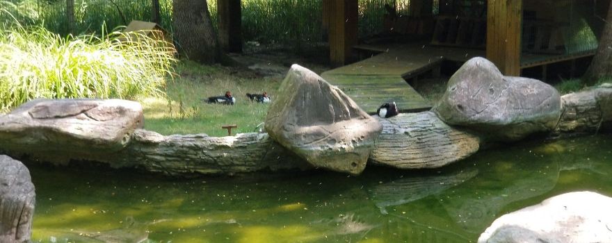 Atakum