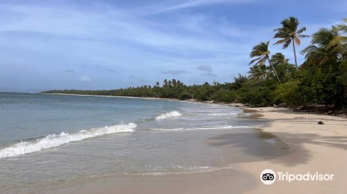 Grande Anse des Salines