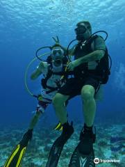 Cozumel Dive School