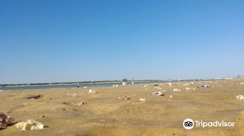 Playa de La Jara