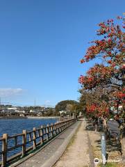 Shirachiko Lake