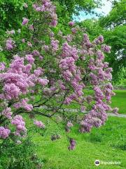 Vasaparken, Gothenburg