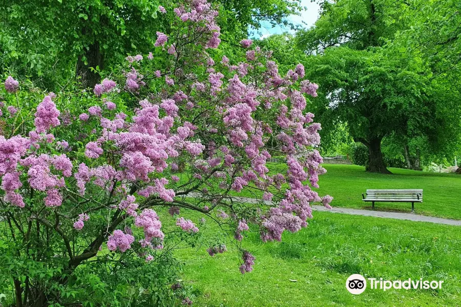 Vasaparken, Gothenburg