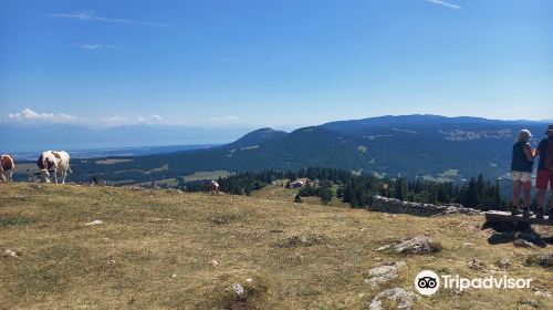 Dent de Vaulion