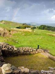 Walltown Crags - Hadrian's Wall