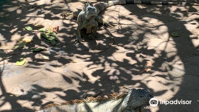 Adventure Park (Parque Aventura)