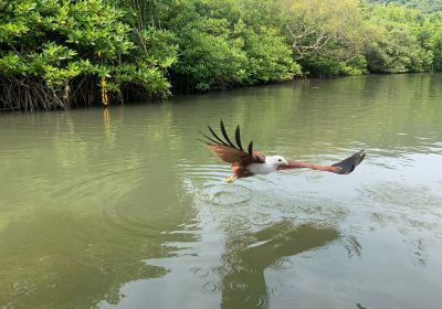 Palolem Island Reserve