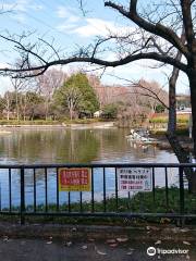 Sagiyama Memorial Park