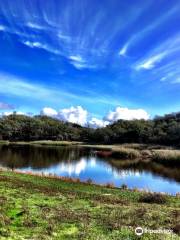 Foothill Regional Park