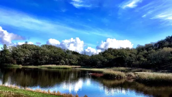 Foothill Regional Park