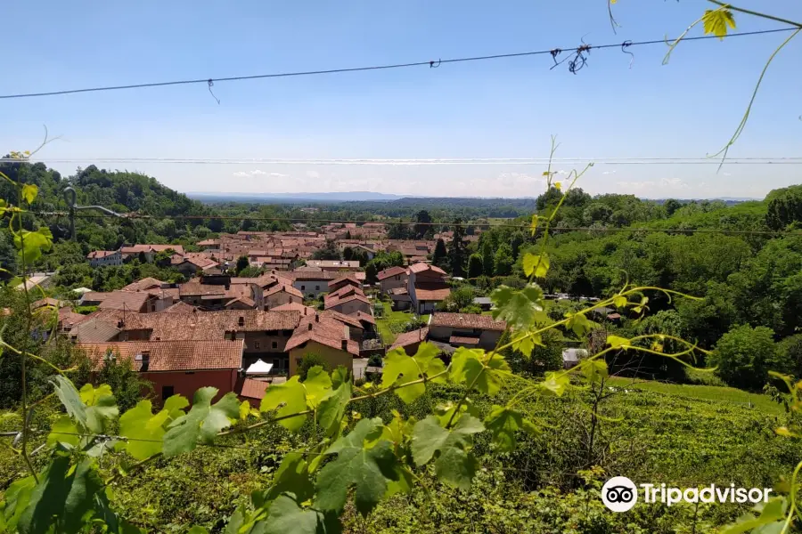 azienda agricola le masche