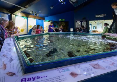 Macduff Marine Aquarium