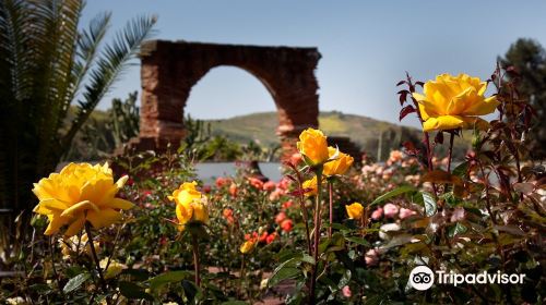 Mission San Luis Rey