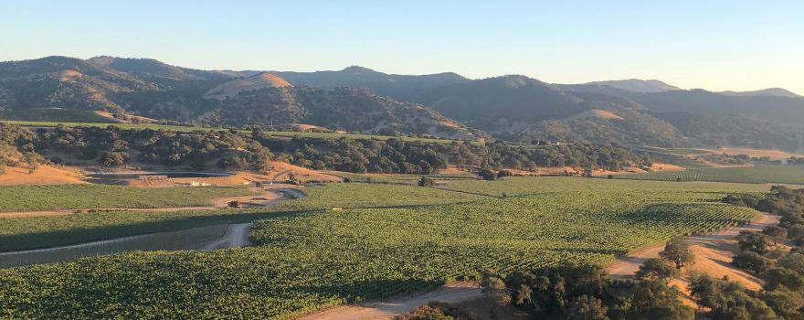Los Olivos