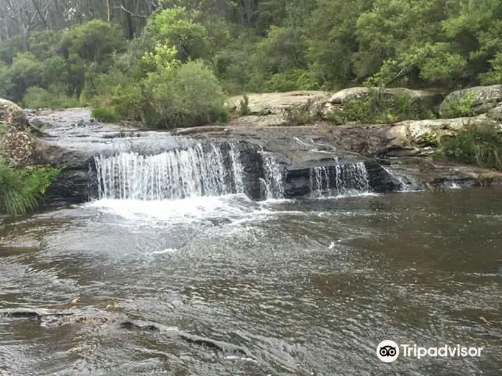 Carrington Falls